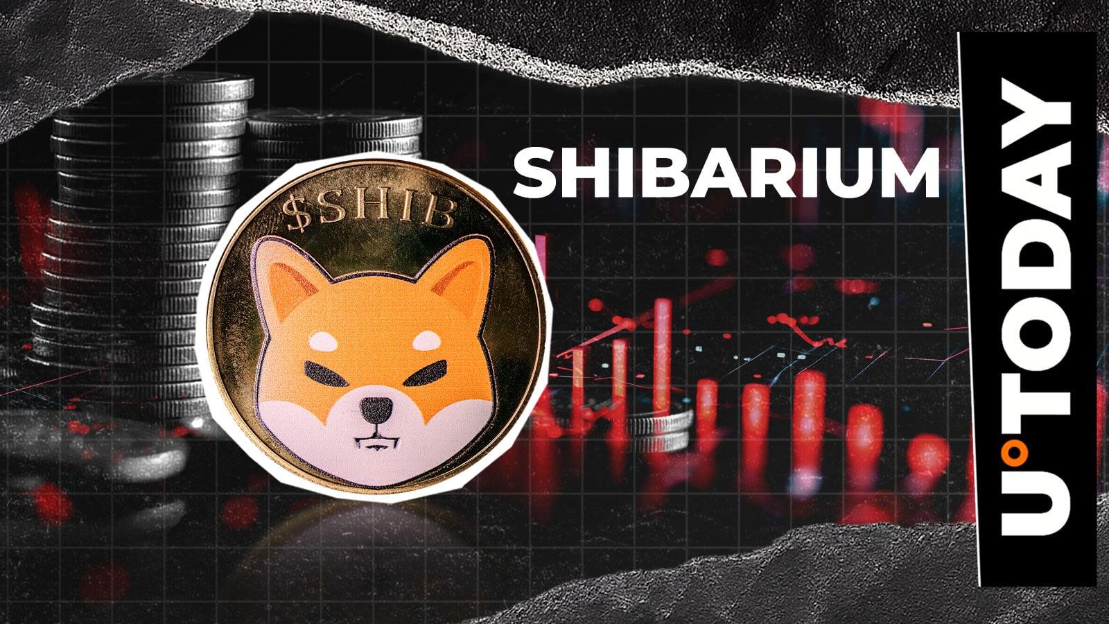 Shibarium sụt giảm 58,8% giao dịch: Liệu Shiba Inu có khả năng phục hồi?