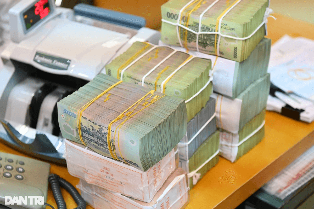 Thanh tra Ngân hàng Nhà nước: Vikki Bank chịu ảnh hưởng từ vụ án Dong A Bank