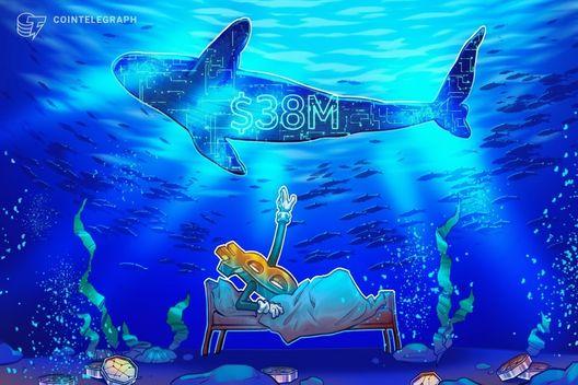 Cá mập Hyperliquid đặt cược 38 triệu USD vào lệnh Short Bitcoin